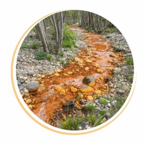 La rivière serpense et ose son chemin personnel
