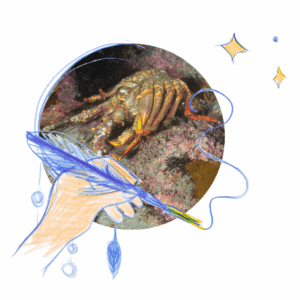 mue de homard symbole de transformation intérieure
