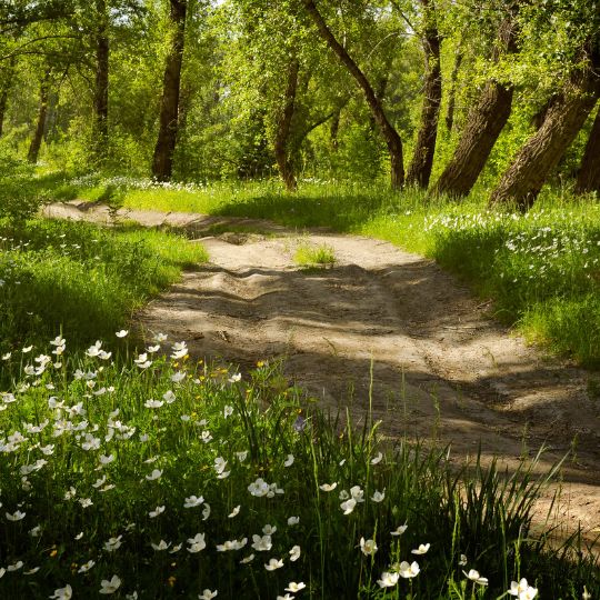 chemin intérieur, quête de sens