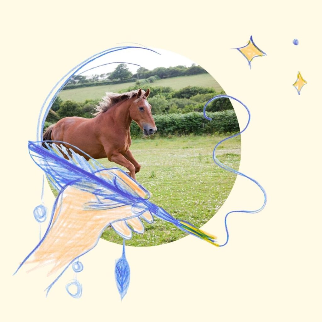 Cheval au galop, quand on est dépassé par ses émotions