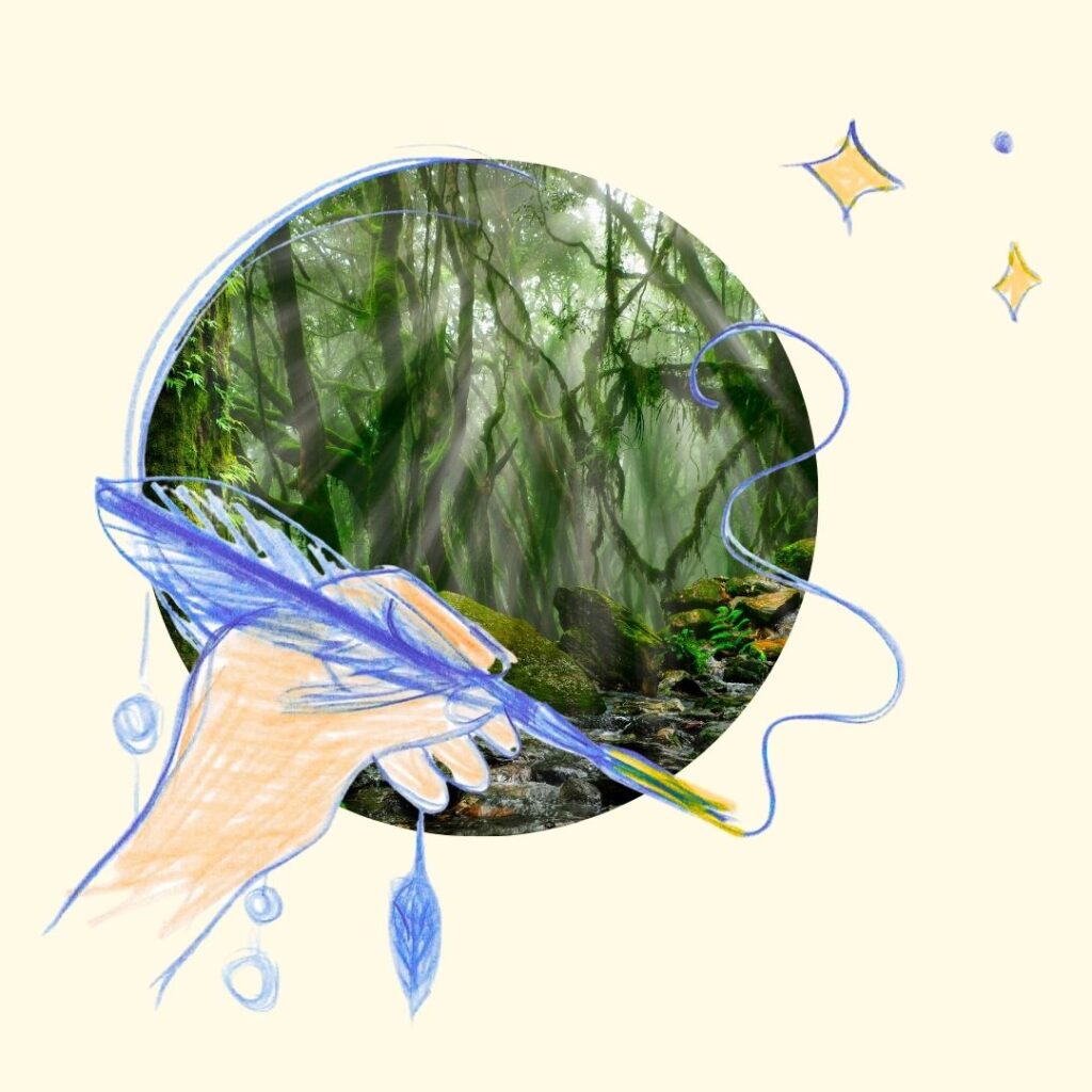 forêt brumeuse, symbole de l'incertitude pendant une transition de vie
