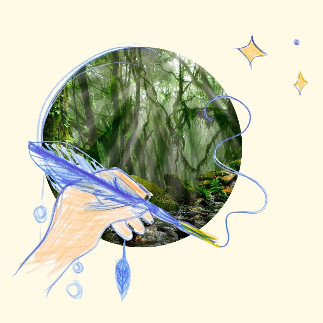 forêt brumeuse, symbole de l'incertitude pendant une transition de vie