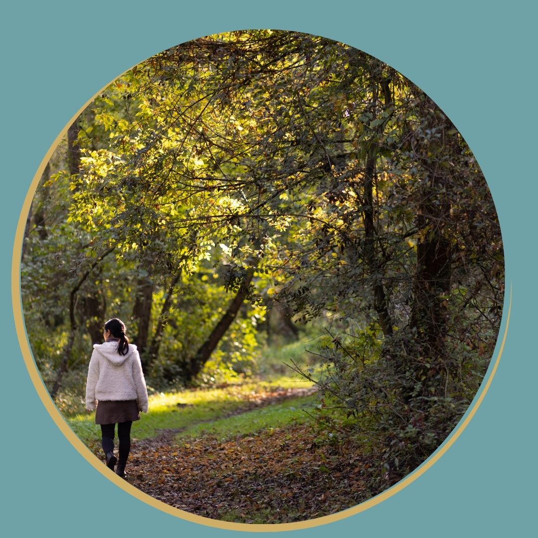 Flânerie en forêt pour se ressourcer et nourrir son élan vital