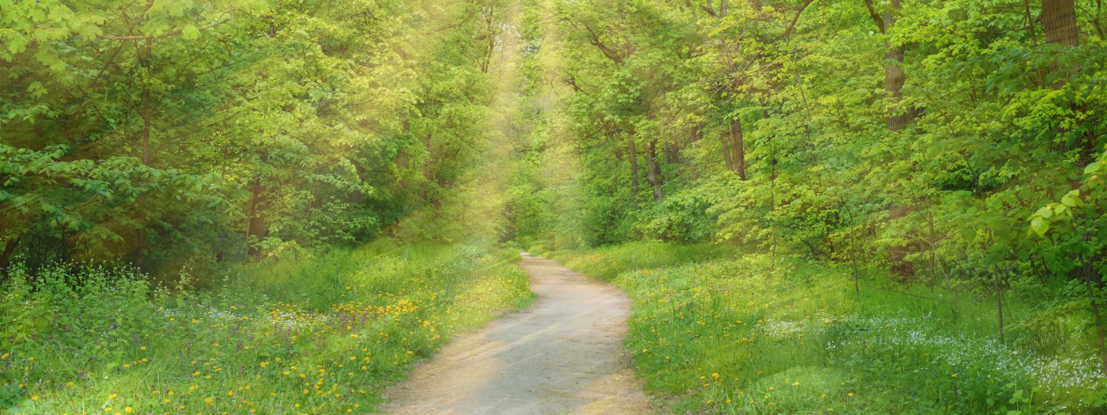 chemin supperposition de lumière, la transformation