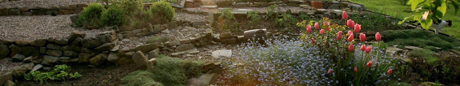 Un jardin se cultive avec joie- c'est ma proposition