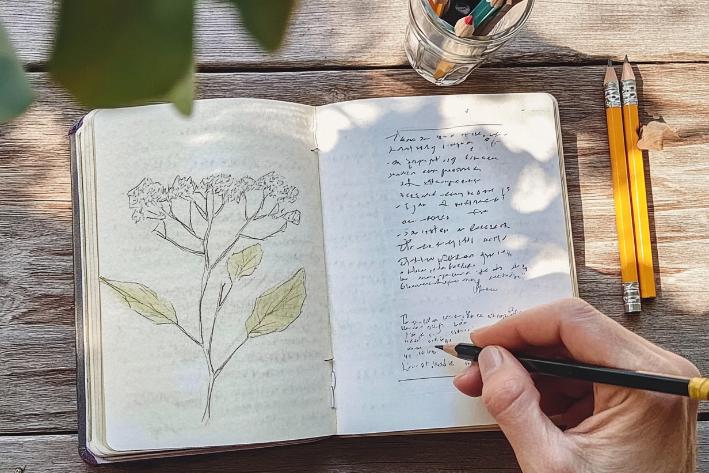 Carnet ouvert avec des dessins et des crayons de couleur sur une table.