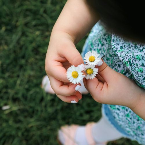 Petite fille observant des pâquerettes au printemps pour retrouver son essence profonde