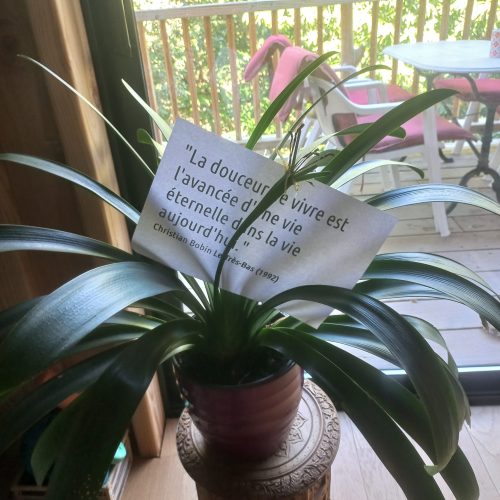 Citation de Christian Bobin sur la douceur de vivre glissée dans une plante lors d’un atelier d’écriture