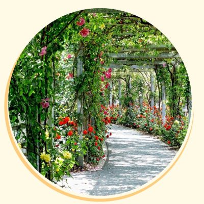 s’écouter vraiment et faire des choix alignés sur son chemin de vie