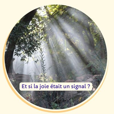 Forêt baignée de lumière, image de l’élan vivant et de la joie intérieure