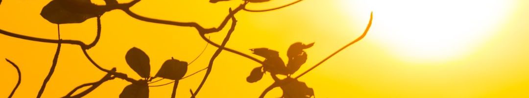 La lumière du soleil symbole de ta lumière